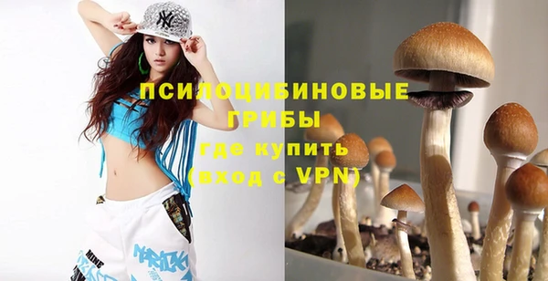 винт Бородино