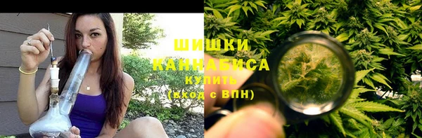 винт Бородино