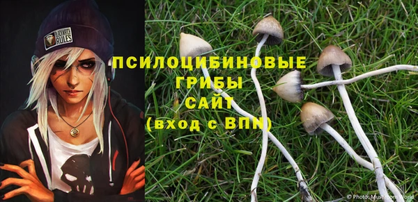 хмурый Арсеньев
