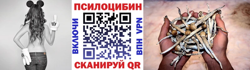 Псилоцибиновые грибы GOLDEN TEACHER Верхняя Салда