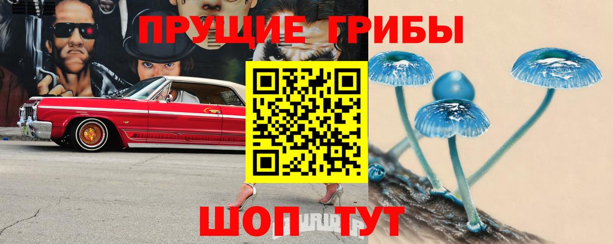 Верхняя Салда  Псилоцибиновые грибы мицелий  цены наркотик  Галлюциногенные грибы GOLDEN TEACHER  Вход с VPN 